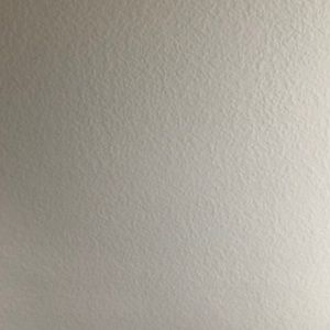 Meet your Posher, Ray